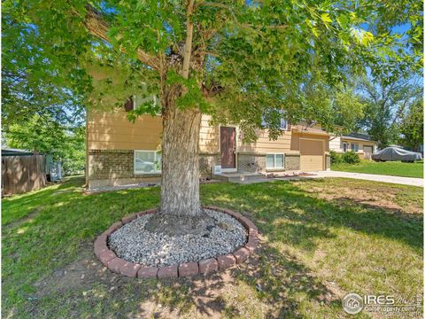1906 Corriedale Court, Fort Collins, CO 80526 - #: IR991107