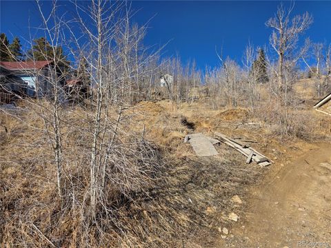 Lot 1 E 4th High Street Central City CO 80427