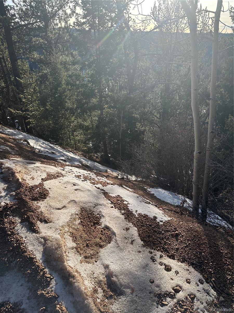 1600 Pikes Peak Drive