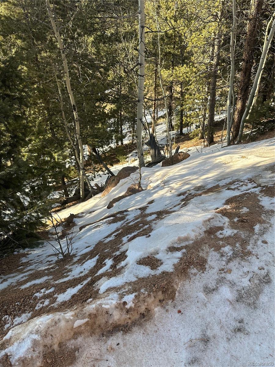 Photo 1 of 3 — 1600 Pikes Peak Drive, Divide, CO 80814