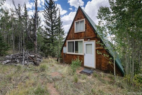 Photo of 63 Welsh Cob Lane, Jefferson, CO 80456 (MLS # 4178779)
