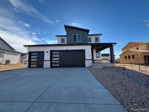 1734 Windler Street Brighton CO 80601