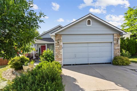 607 Branding Iron Lane Castle Rock CO 80104