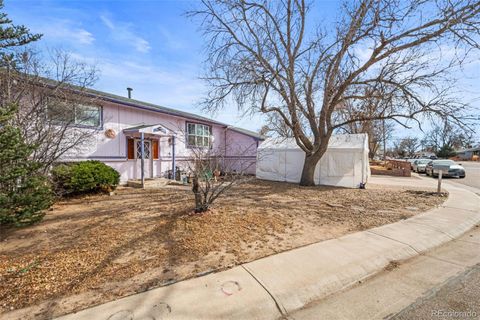1120 Mckinley Avenue Fort Lupton CO 80621