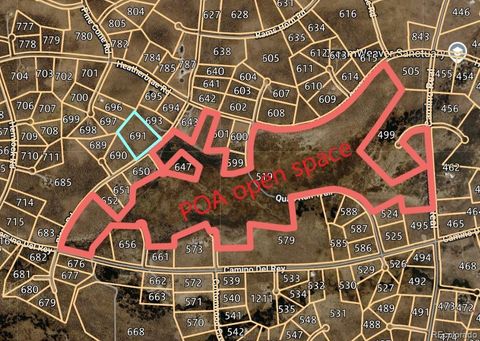 691 Birch Road Crestone CO 81131