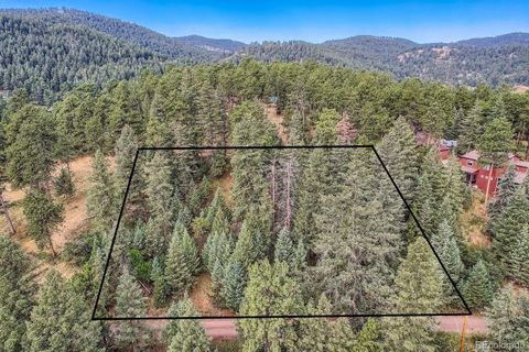 5296 Cherokee Road Indian Hills CO 80454