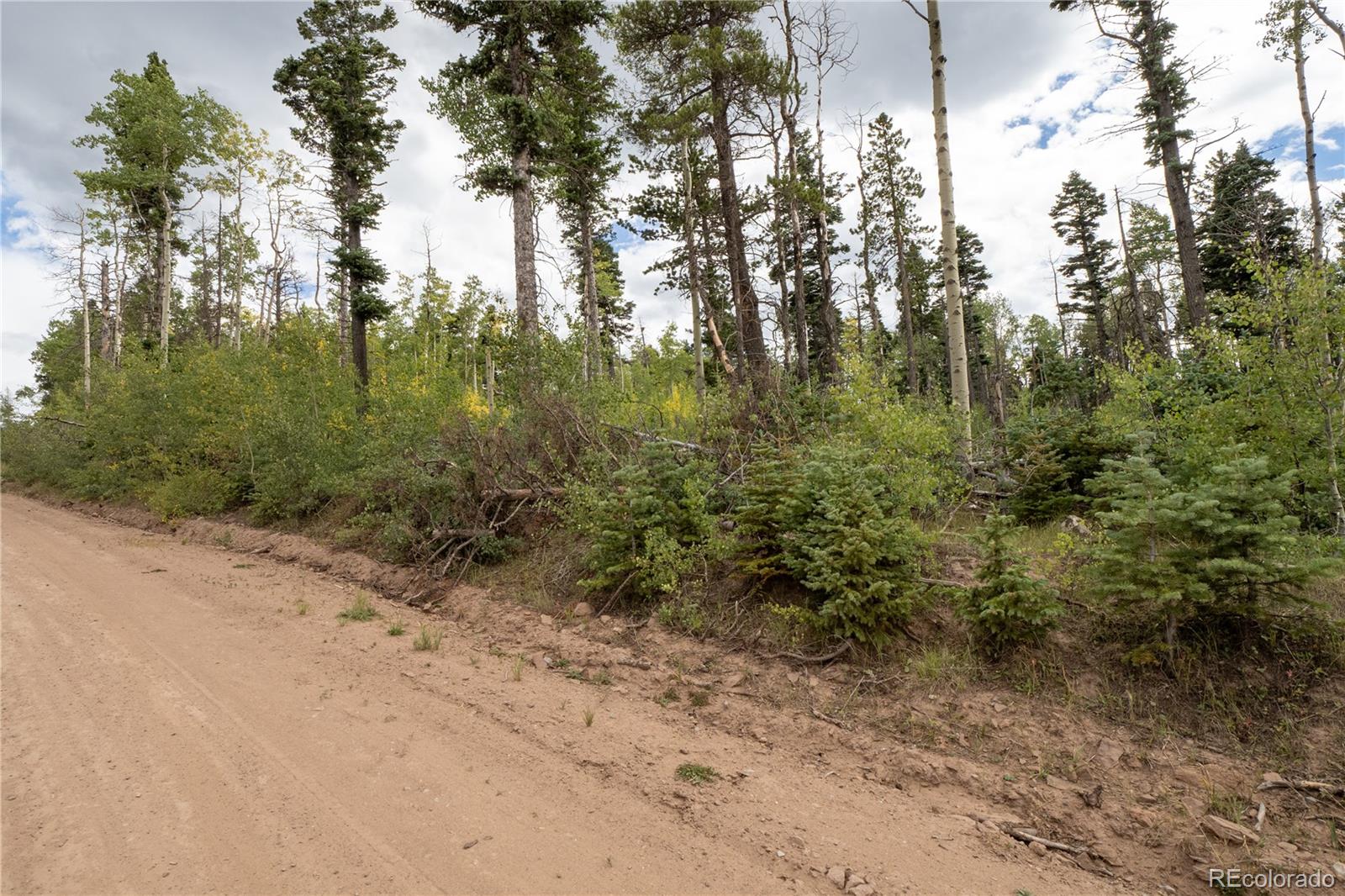 Lot 2614 Petito Drive