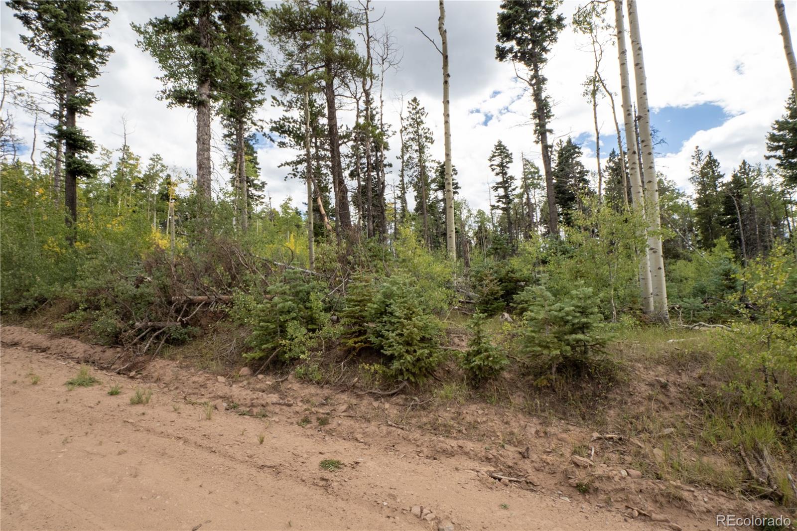 Lot 2614 Petito Drive