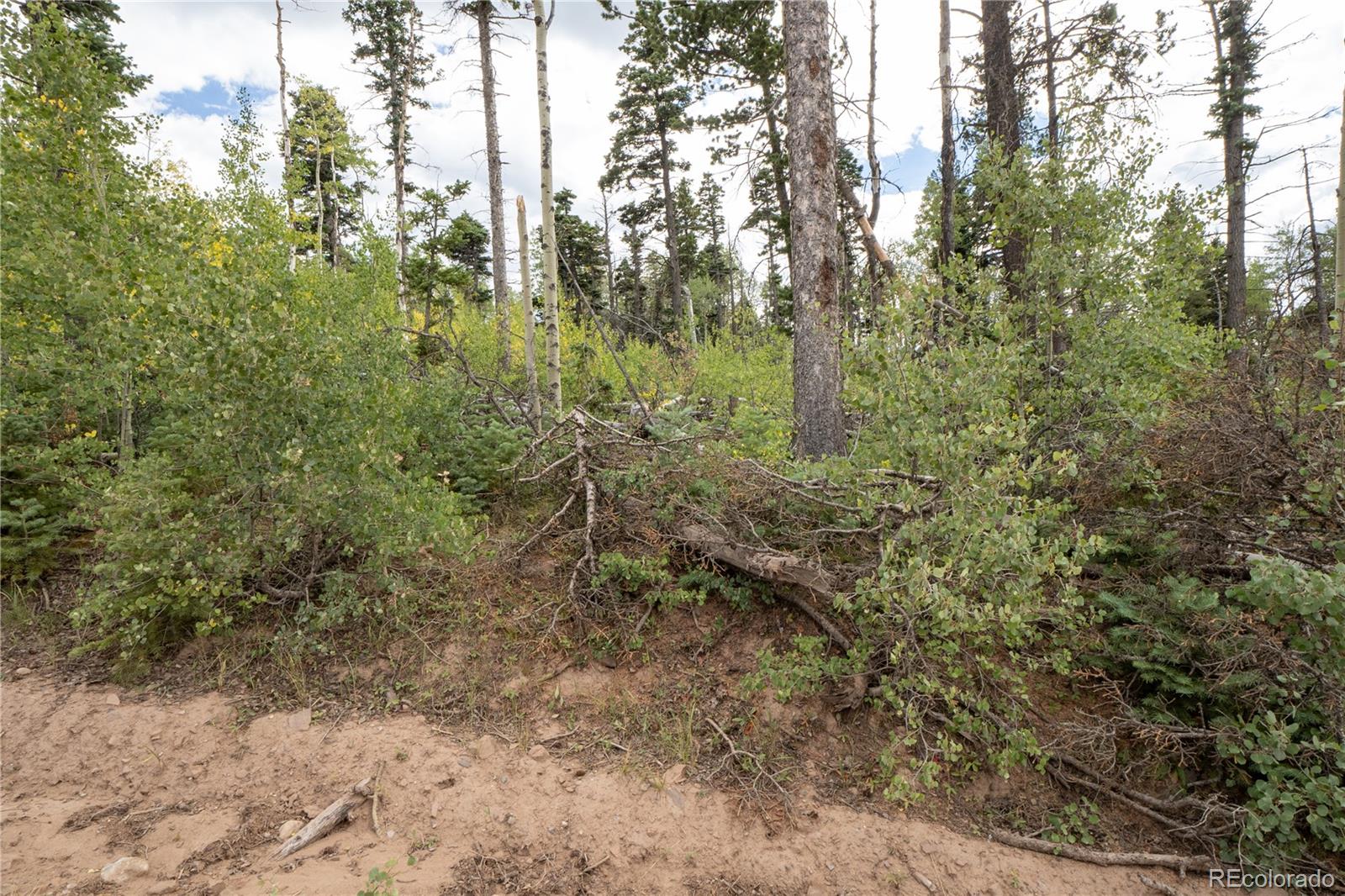 Lot 2614 Petito Drive