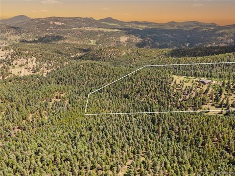 26269 Richmond Hill Road Conifer CO 80433