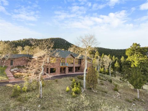 26269 Richmond Hill Road Conifer CO 80433