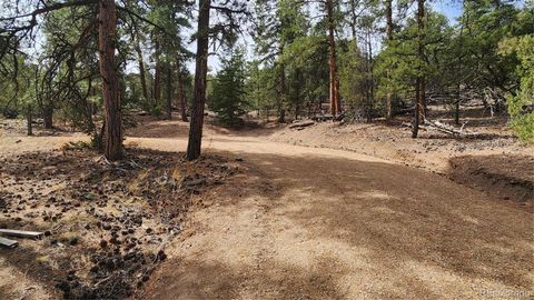 2417 Indian Wells Road Cotopaxi CO 81223