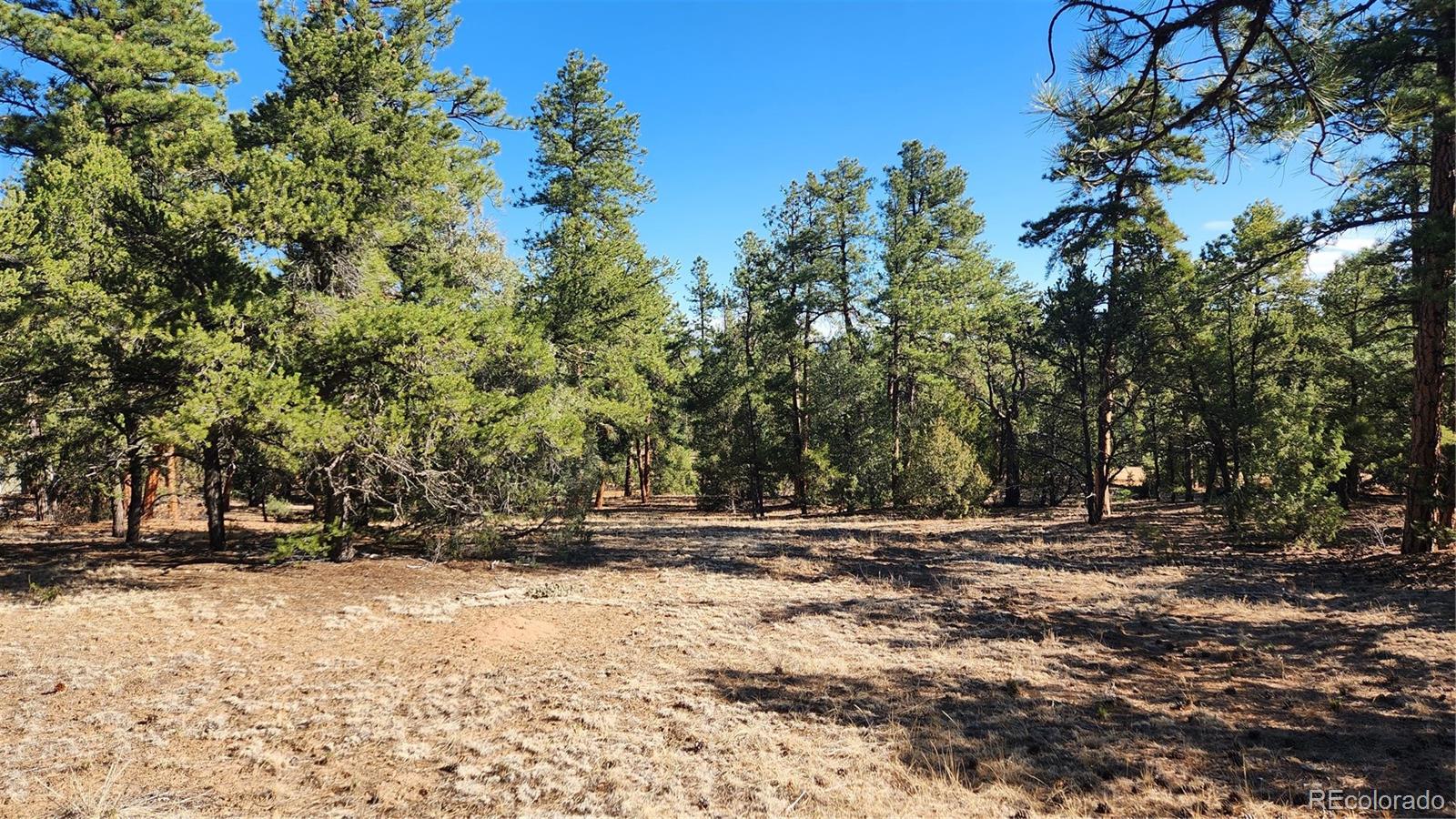 2417 Indian Wells Road