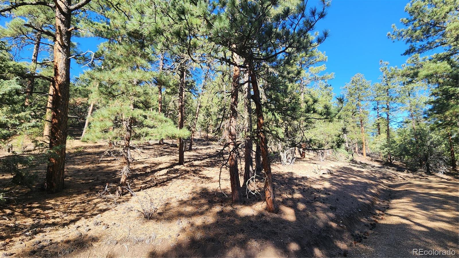 2417 Indian Wells Road