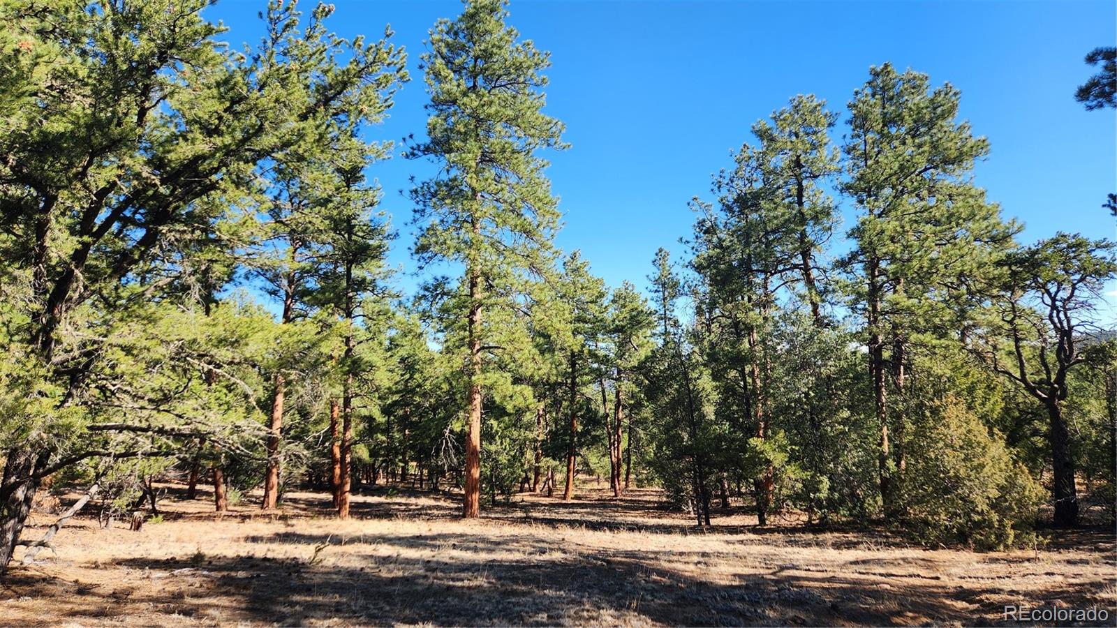 2417 Indian Wells Road