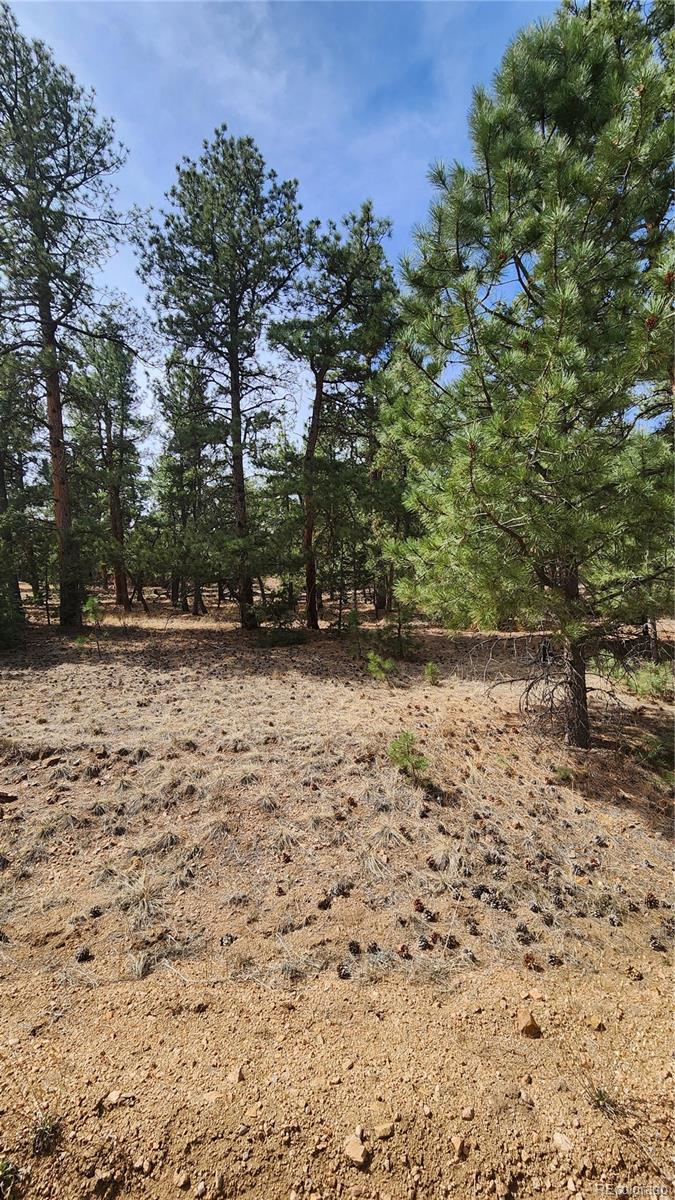 2417 Indian Wells Road