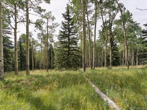 000 Meadowlark Drive Evergreen CO 80439
