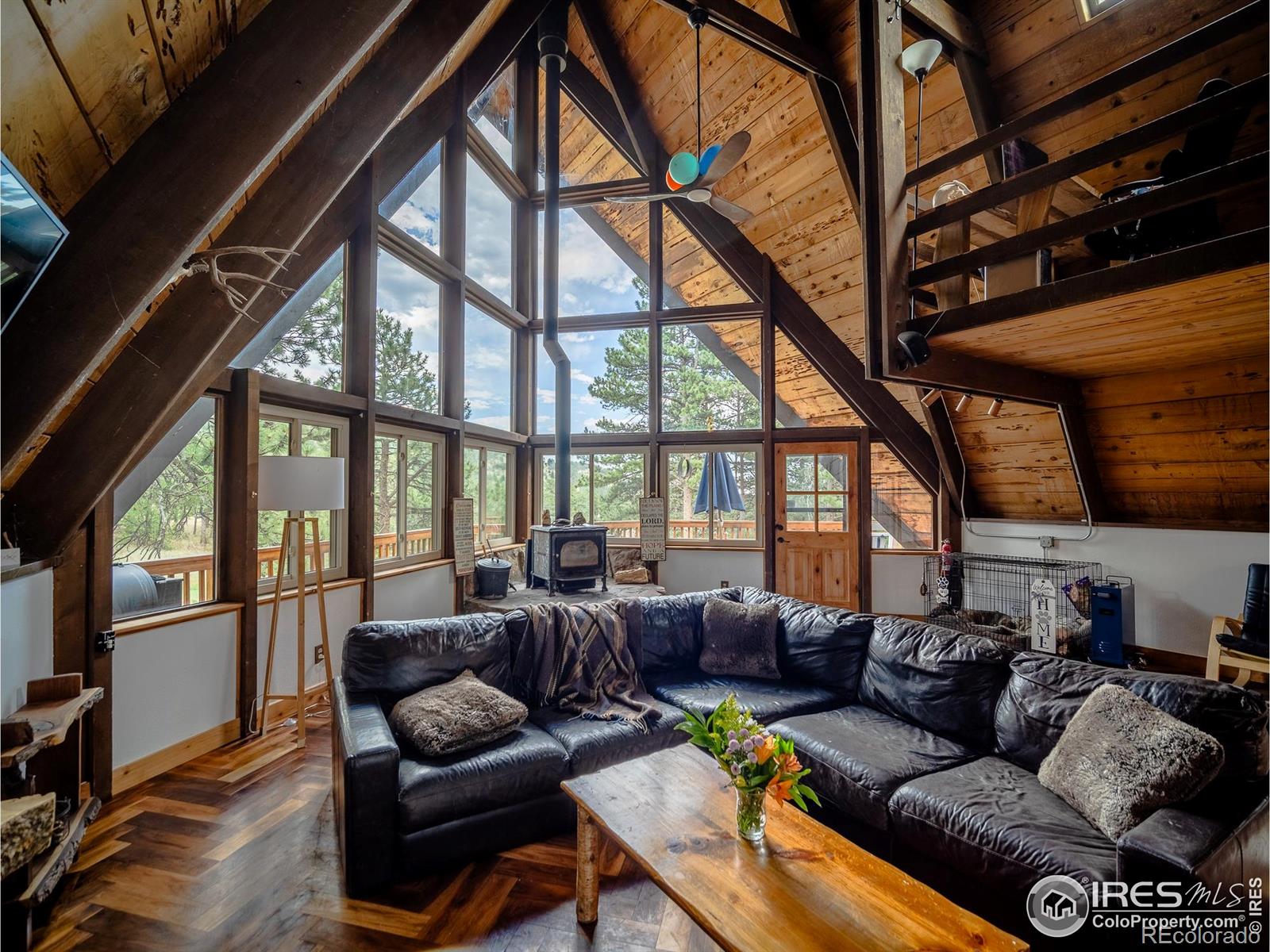 208 Wild Tiger Road