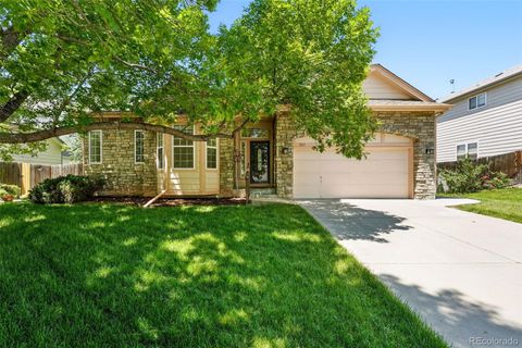 517 Rider Ridge Drive Longmont CO 80504