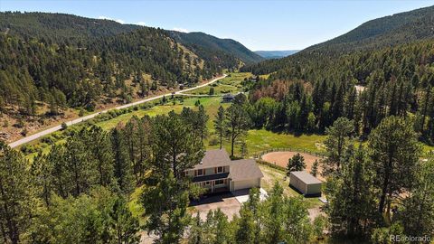 11842 GERONIMO Trail Conifer CO 80433