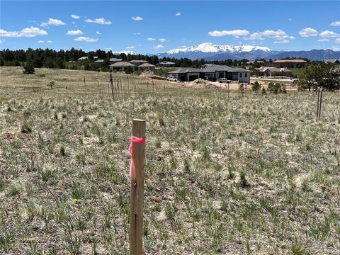 Unimproved Land in Colorado Springs CO 4643 Settlers Ranch Road.jpg