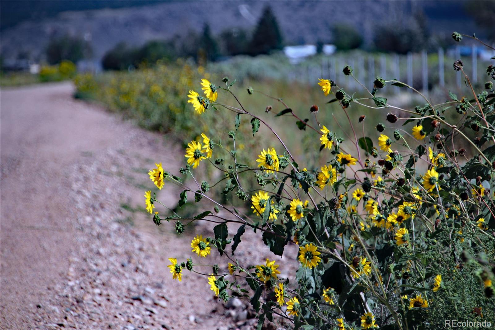 123 acres County Road 13.2