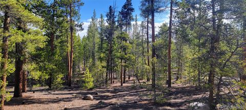 475 Birch Drive Twin Lakes CO 81251