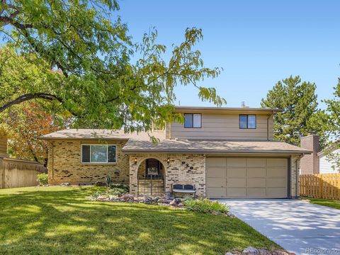 979 Mercury Circle Lone Tree CO 80124