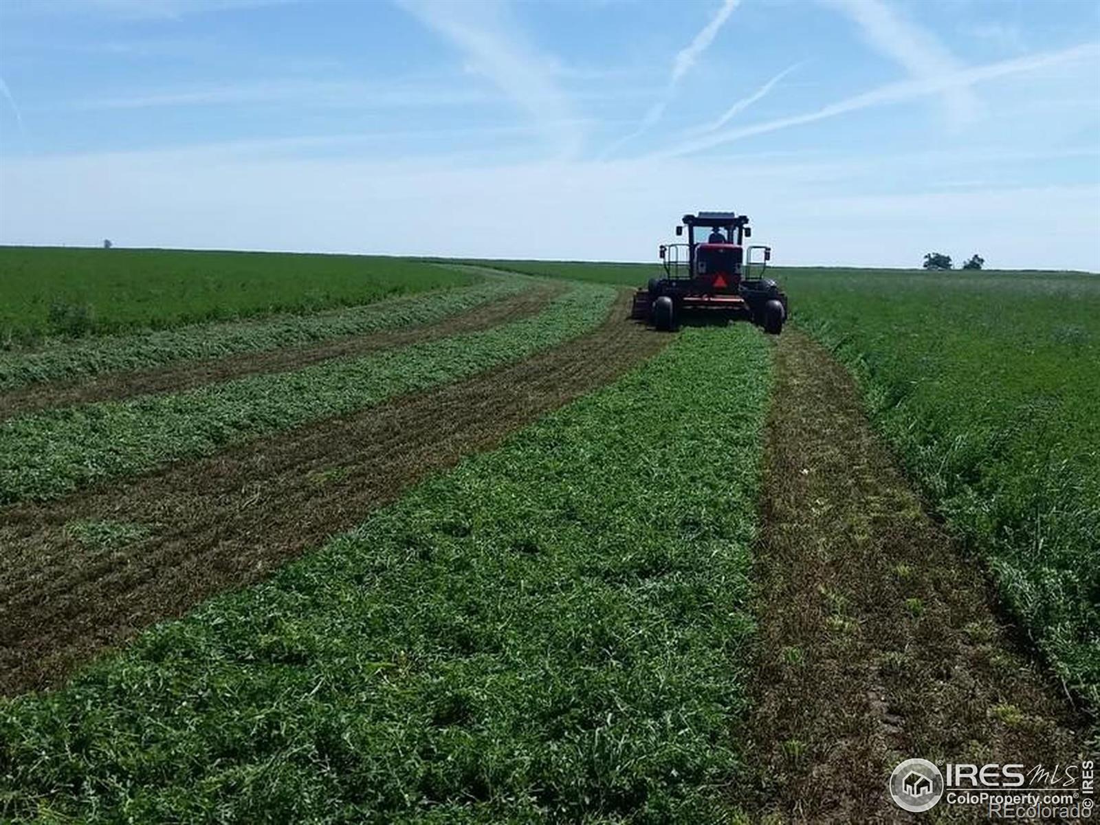 33216 County Road 75