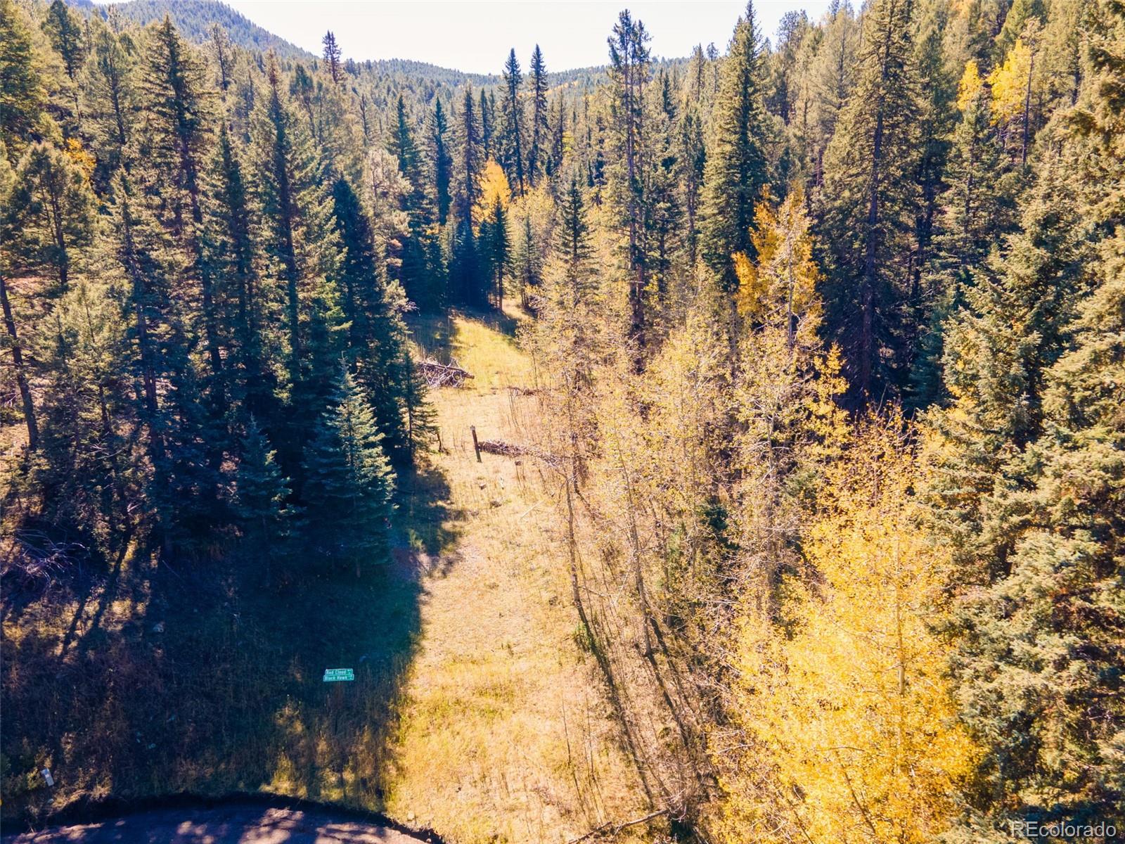 12301 Black Hawk Trail