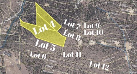 Unimproved Land in Idaho Springs CO Fox Gulch Lots 4-12 6.jpg