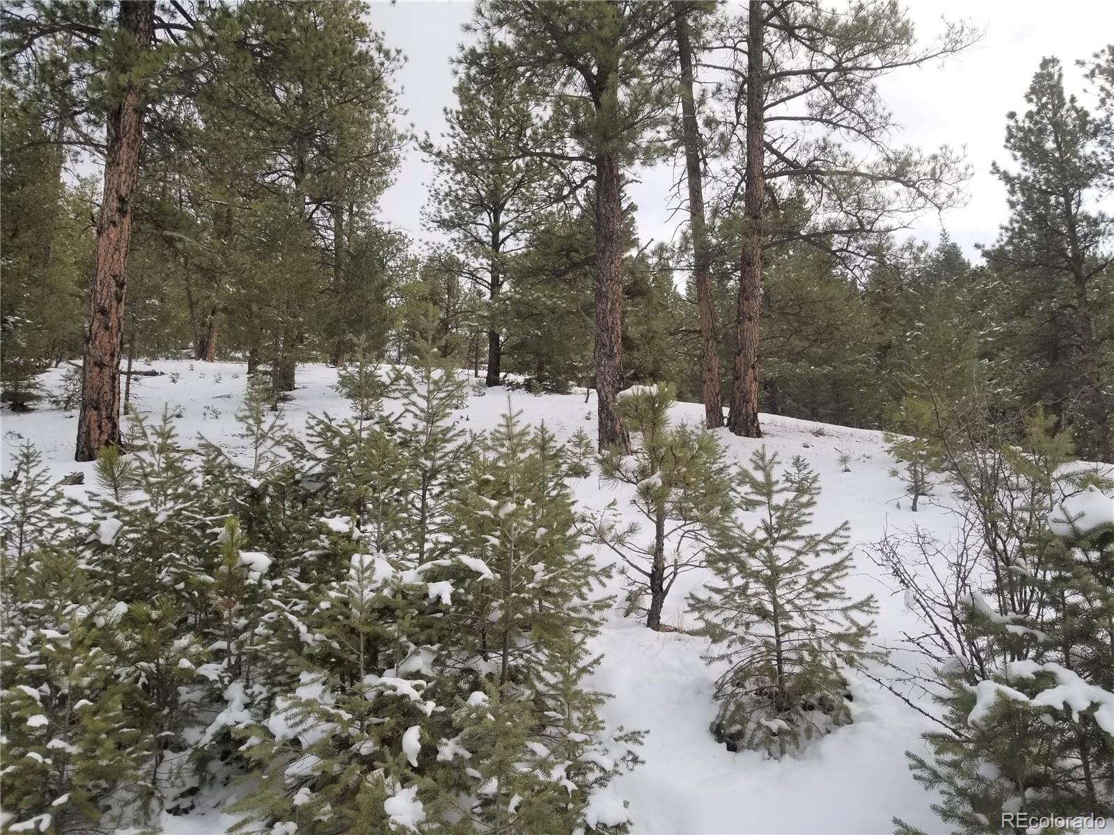 Photo 1 of 3 — 29232 Crystal Ridge Road, Pine, CO 80470