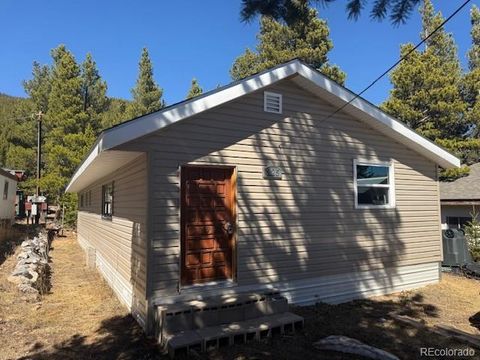 Photo of 325 Aspen Road, Idaho Springs, CO 80452 (MLS # 7923856)