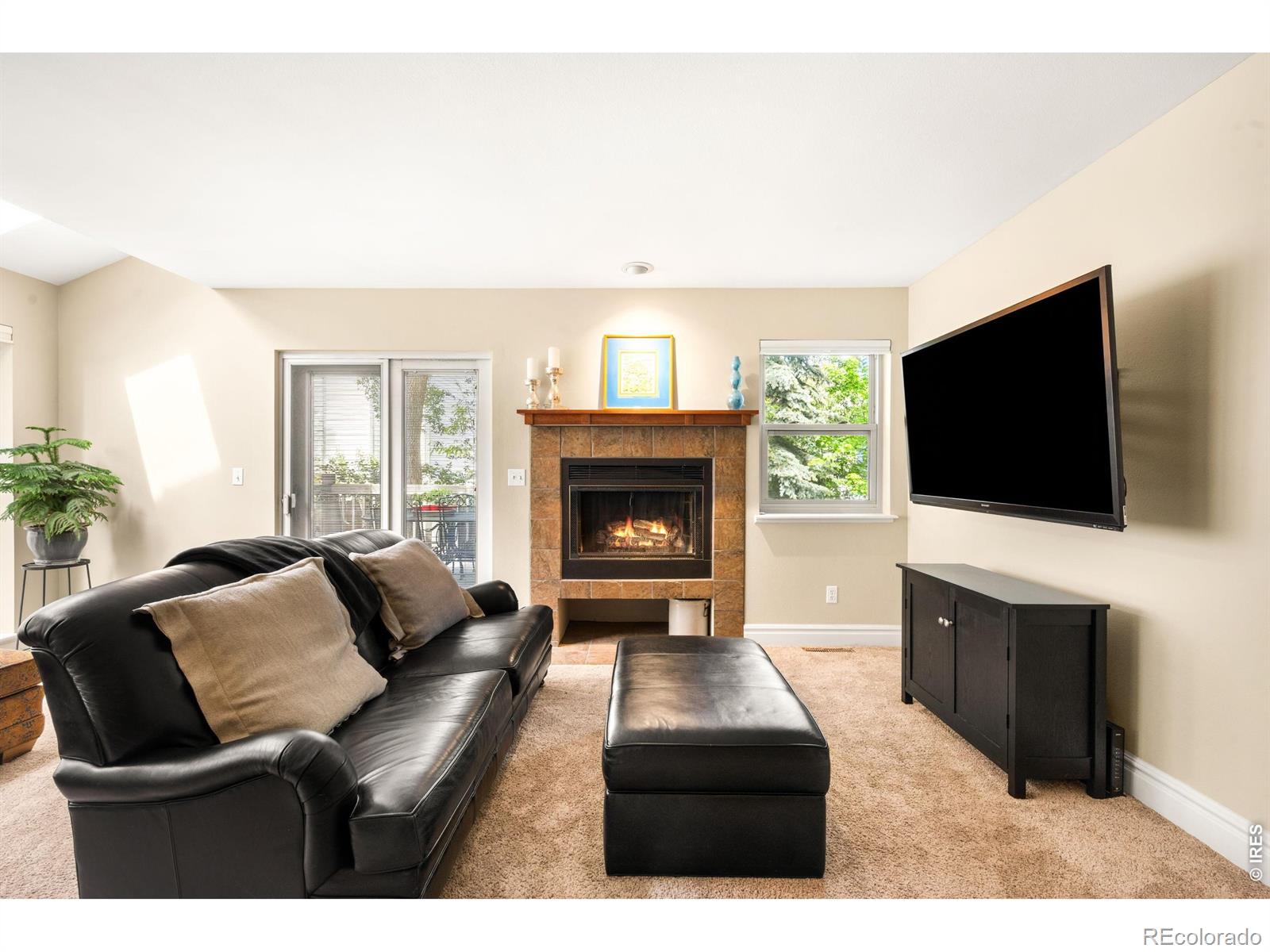 77 Genesee Court