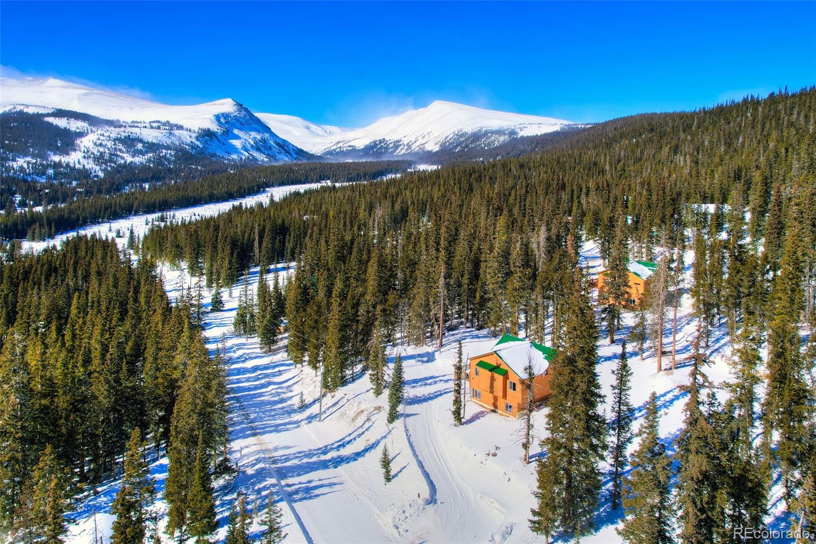 207 Pine Cone Way, Fairplay, CO, 80440 3 207 Pine Cone Way