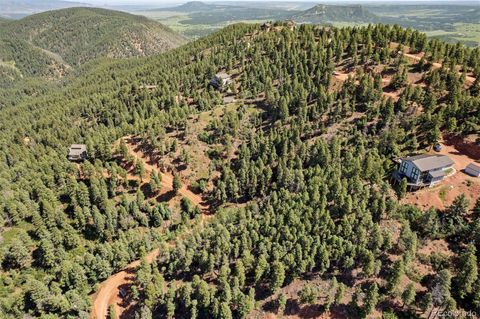 13294 N Firedog Way Larkspur Co 80118