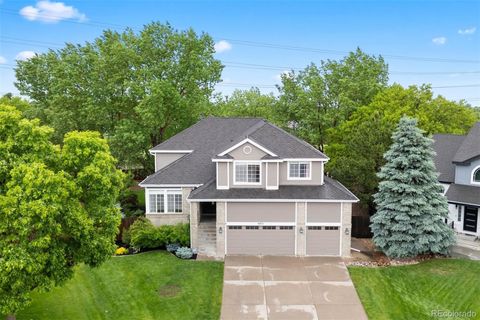 9871 Indian Wells Drive Lone Tree CO 80124