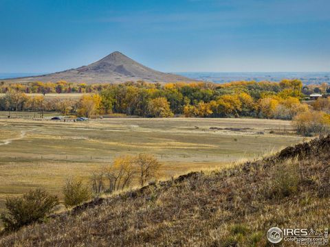 Unimproved Land in Longmont CO 5655 Niwot Road 4.jpg