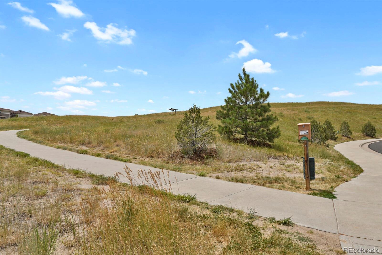 4186 Elegant Street, Castle Rock, CO, 80109 2 4186 Elegant Street