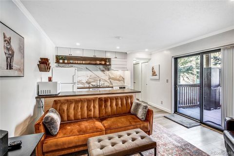 306 Illinois Gulch Road 113 Breckenridge CO 80424