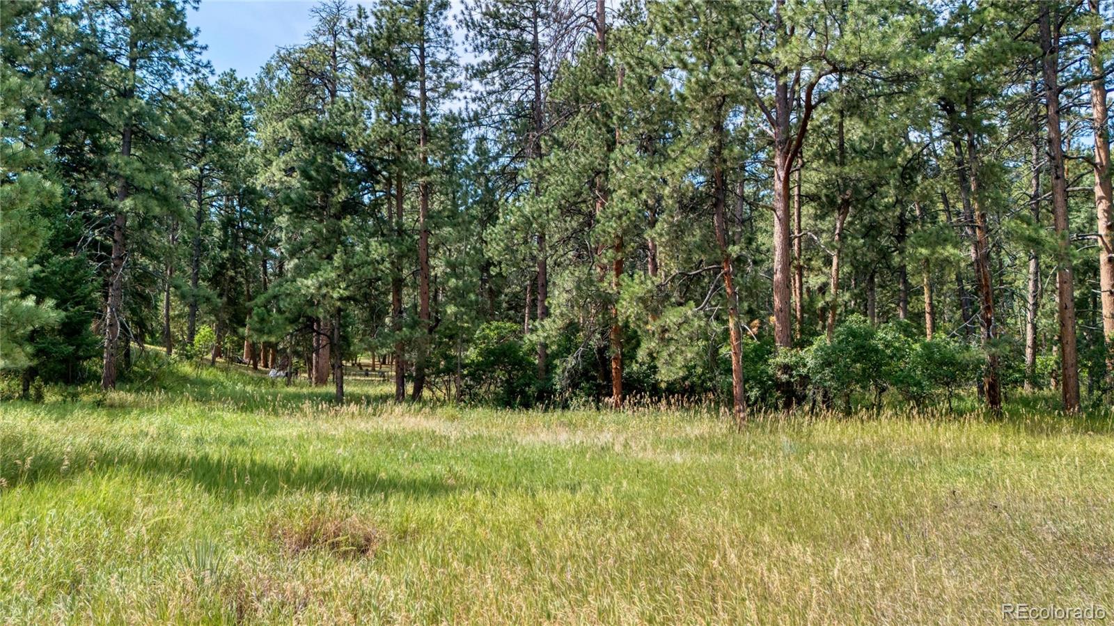 5028 Crow Drive