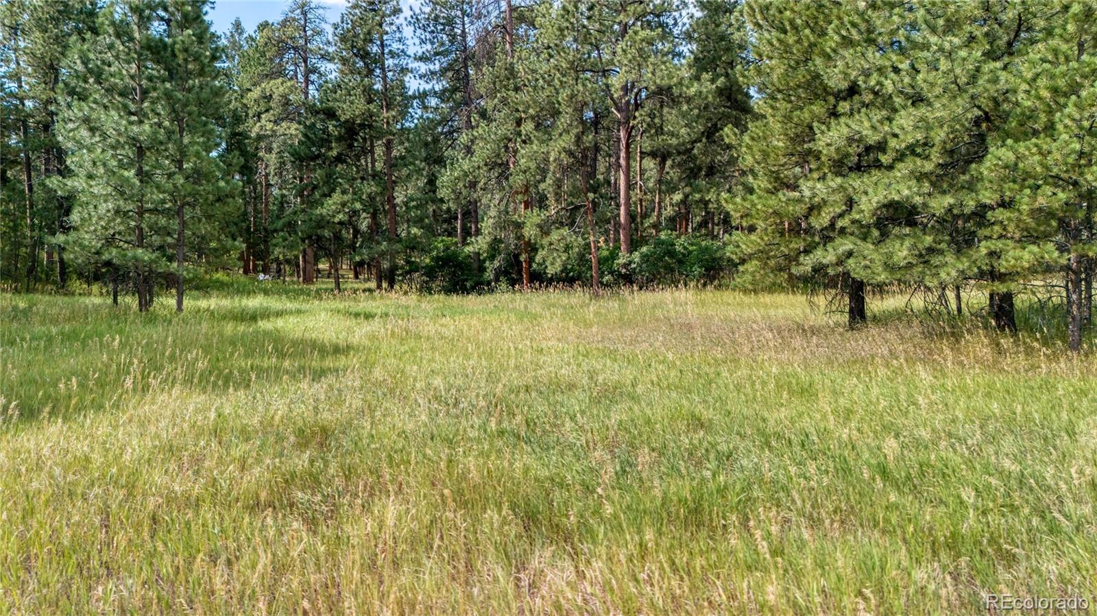 5028 Crow Drive