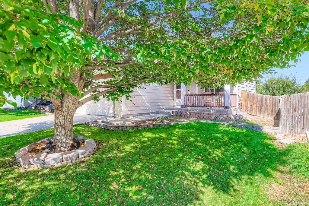 Photo of 8434 Golden Eye Drive, Parker, CO 80134 (MLS # 9975911)