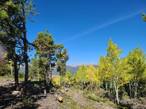 000 TBD Miners Candle Road Idaho Springs CO 80452