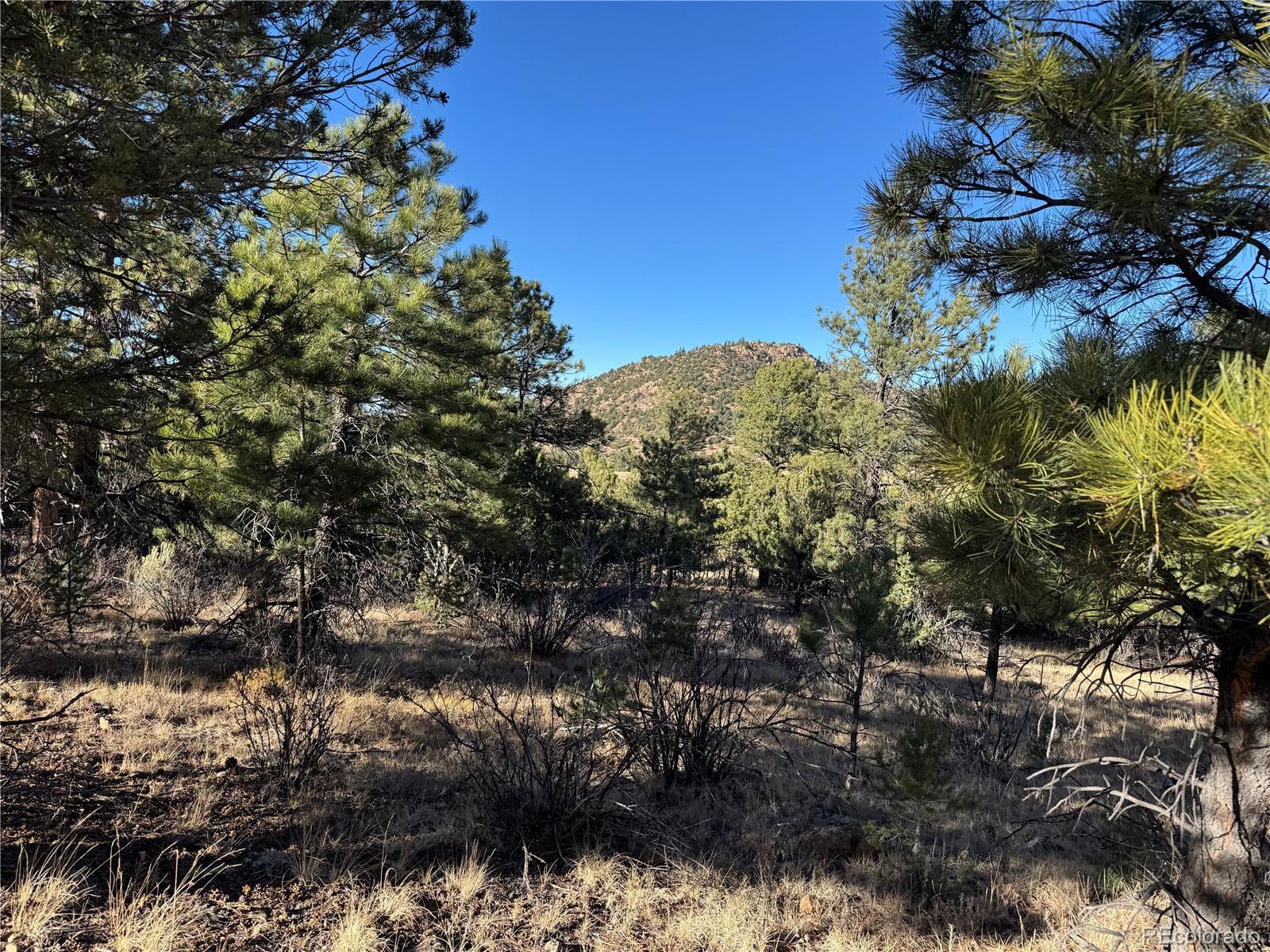 Lot 35 Stephens Drive