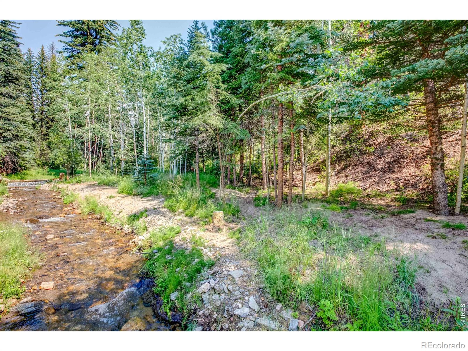 1142 Streamside Drive