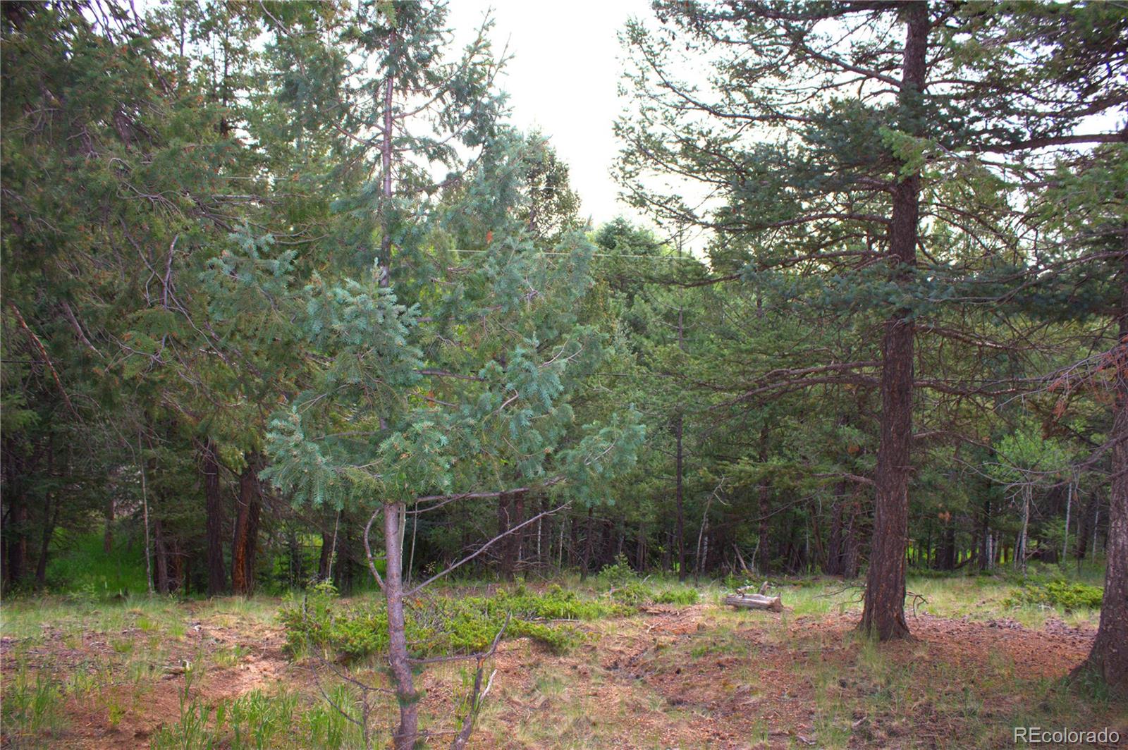 123 Ellis Lake Circle