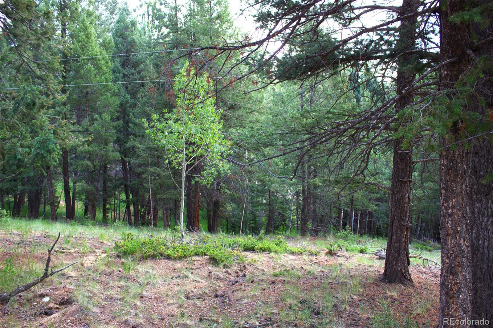 123 Ellis Lake Circle