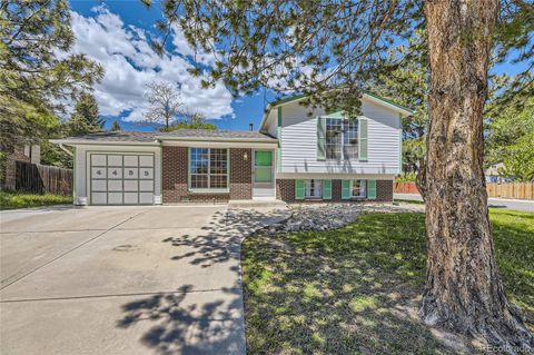 4453 S Yank Street, Morrison, CO 80465 - #: 3819260