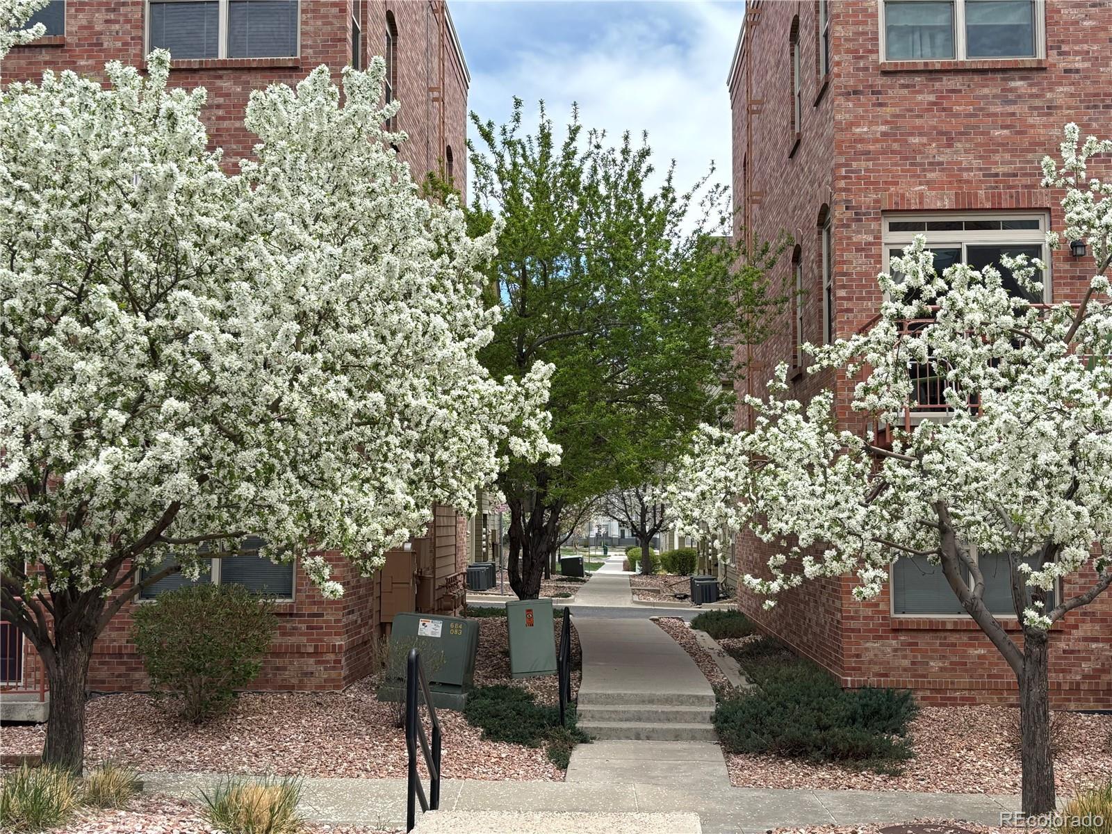 5488 Zephyr Court